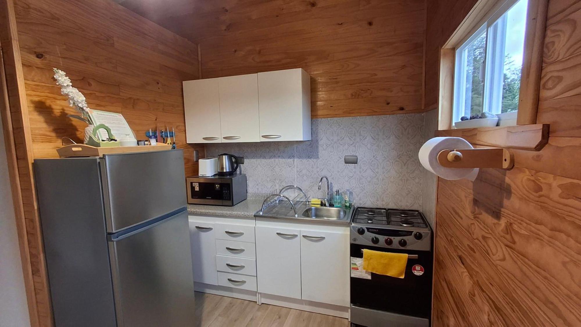 Ollagua Apartamento Puerto Varas