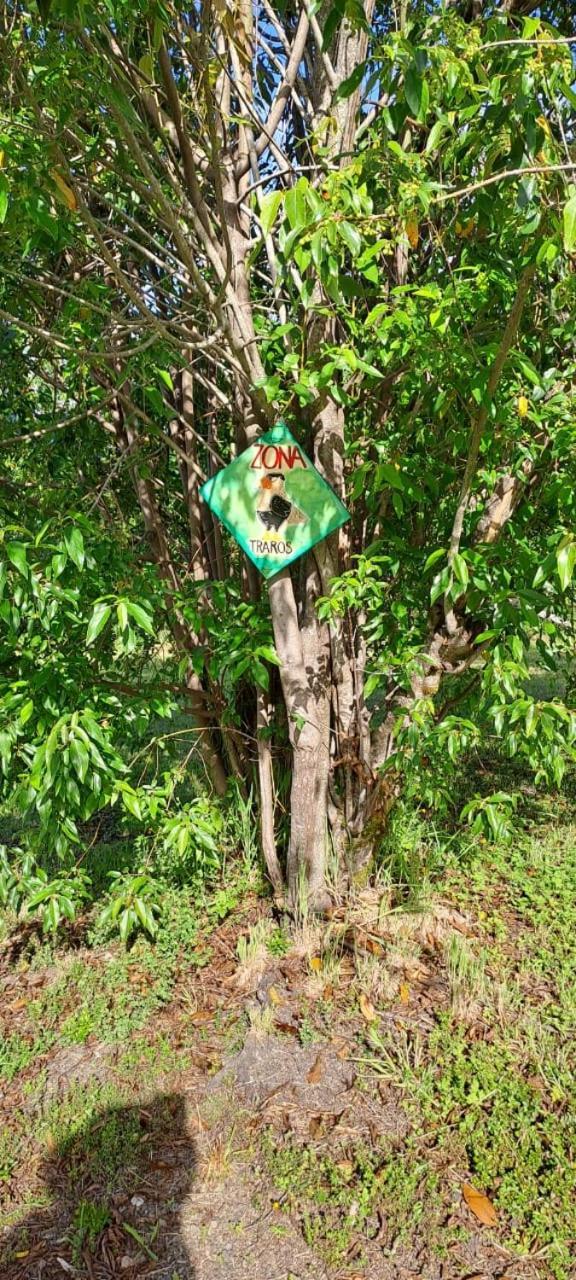 Ollagua