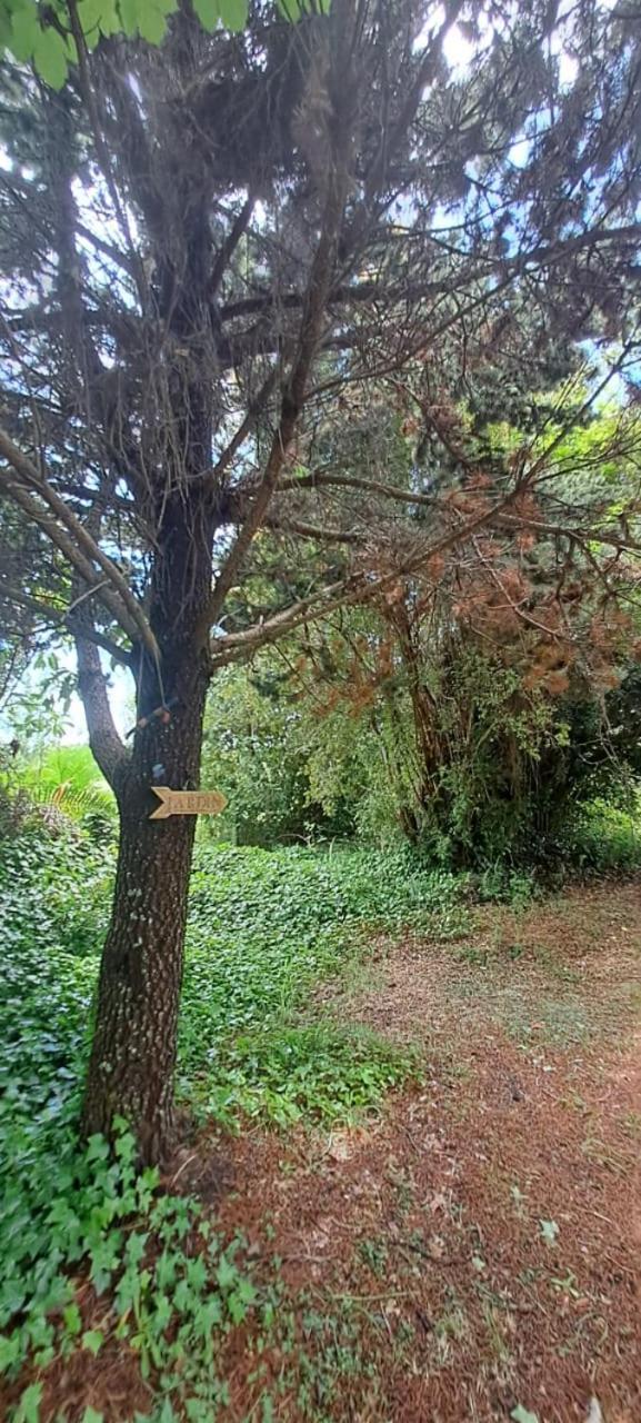 Apartamento Ollagua *